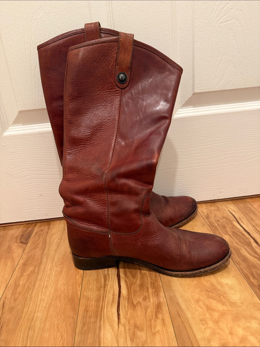 Frye Women’s Tall riding Boots in Chestnut Brown Leather